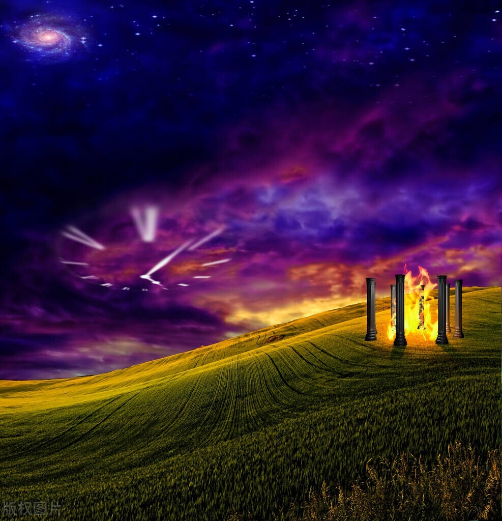 能听懂人话的猫,养了一年的猫基本听不到叫