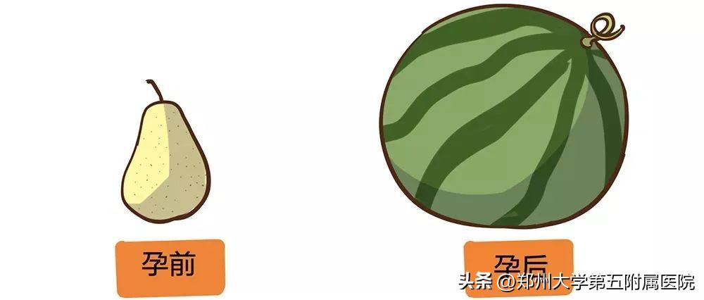 剖宫产盆底肌修复有必要做吗,剖宫产后恢复盆底肌腹直肌