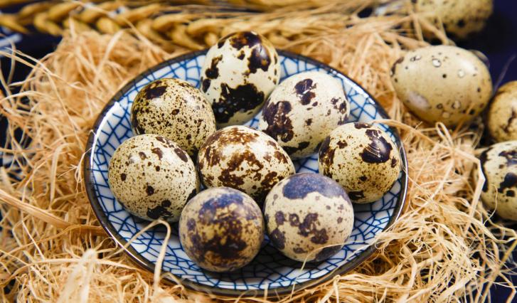 黄体酮有美颜功效吗,黄体酮不足加速皮肤衰老