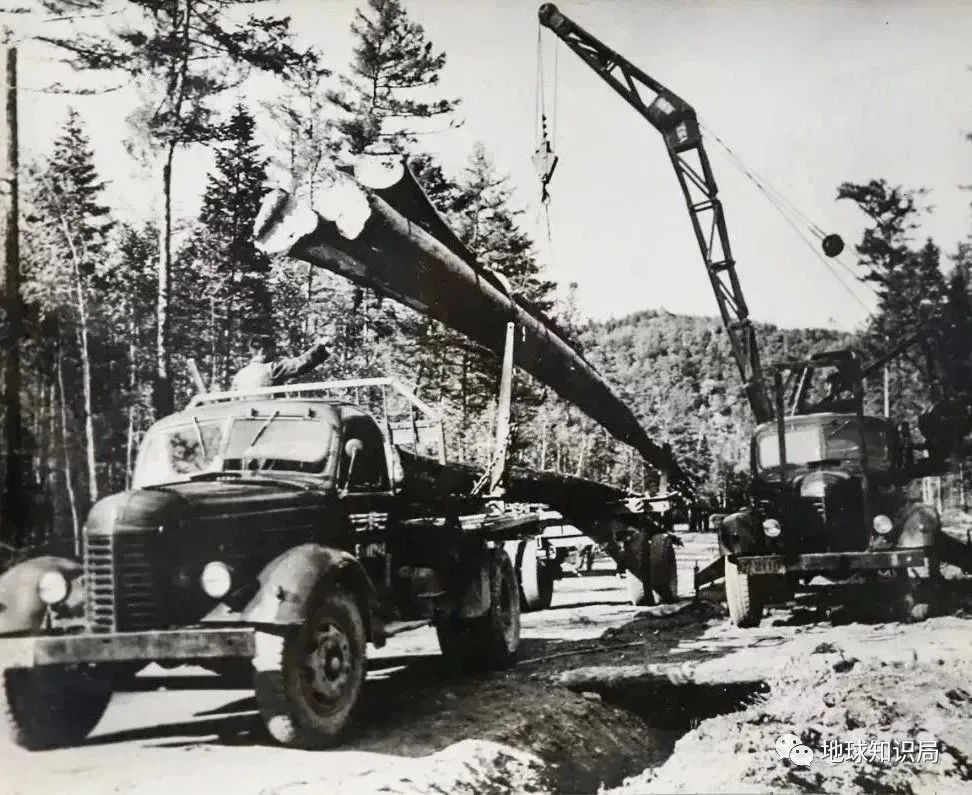 东北，这个职业正在消失！|地球知识局