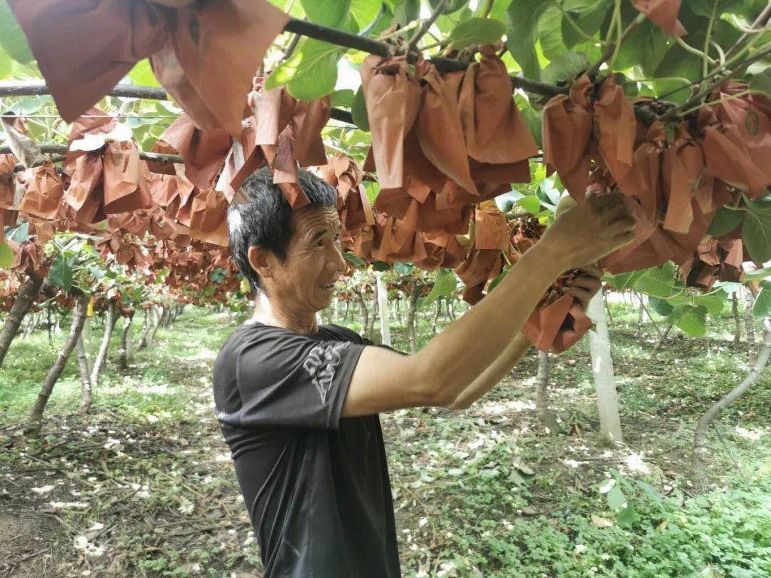 西昌旅游吃住攻略大全最新,11月西昌旅游必备物品