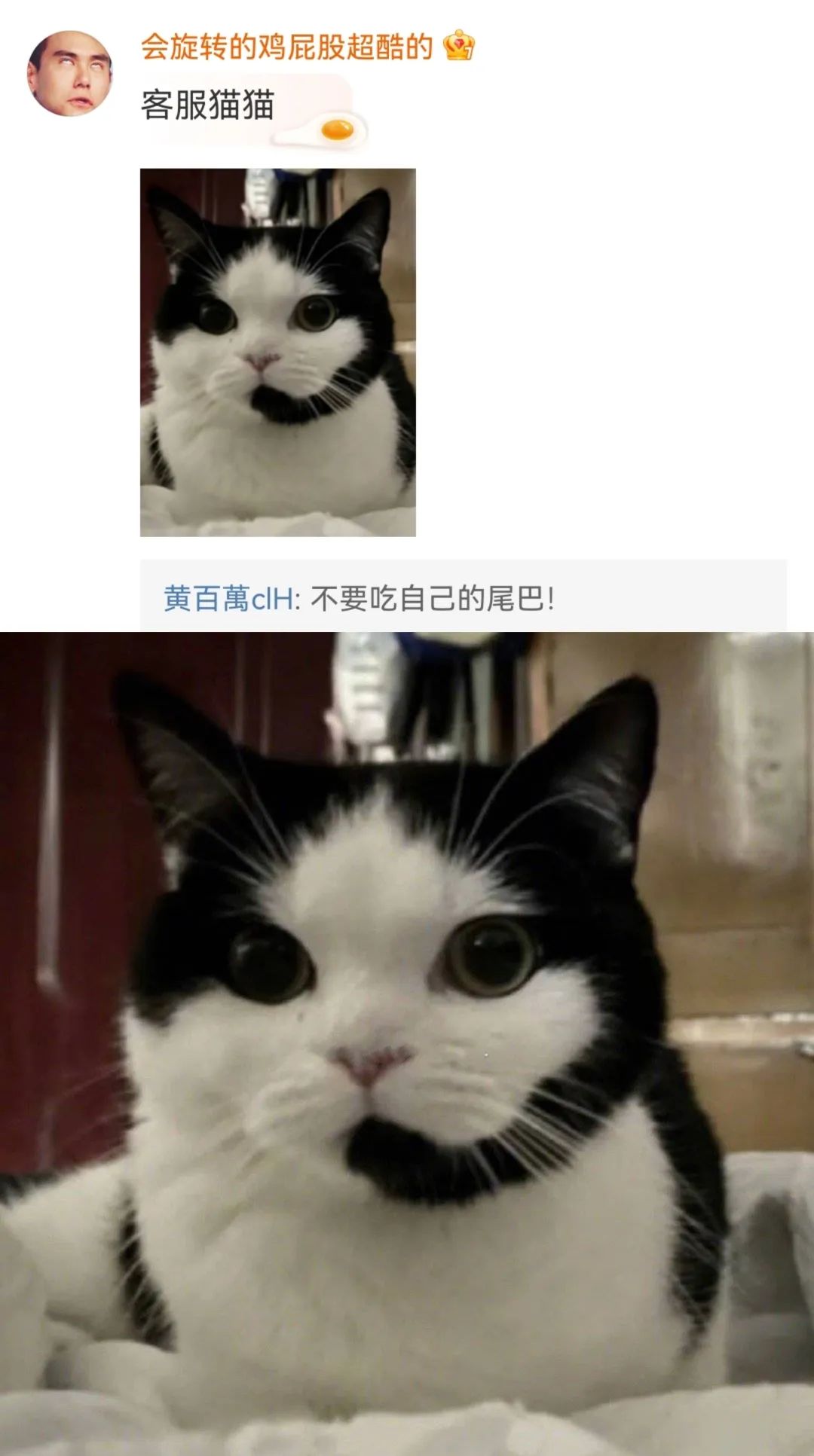 丑萌丑萌的小动物,丑陋又可爱的小动物