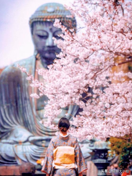 日本樱花花海浪漫之旅,日本旅游看樱花之旅攻略