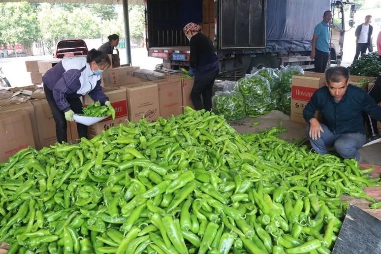 东莞隐形首富卖菜起家身家300亿,东莞首富发家史靠卖菜起家