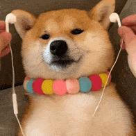 有什么白斑是不用治疗的,白斑怎样治疗才能消失呢