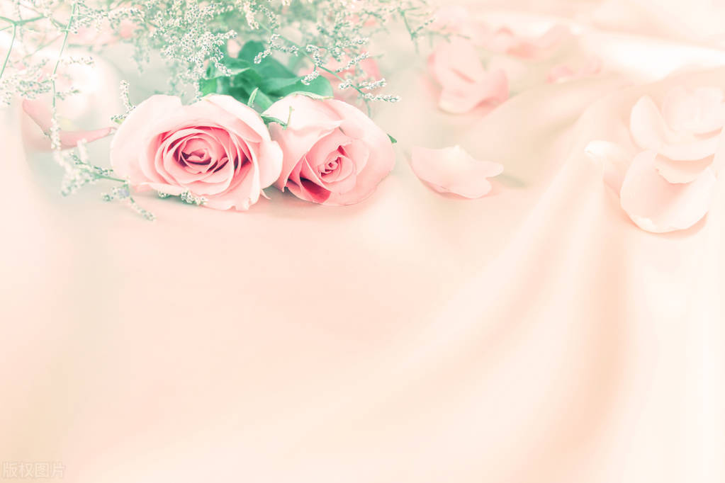 贾平凹二婚吗,贾平凹的二婚妻子