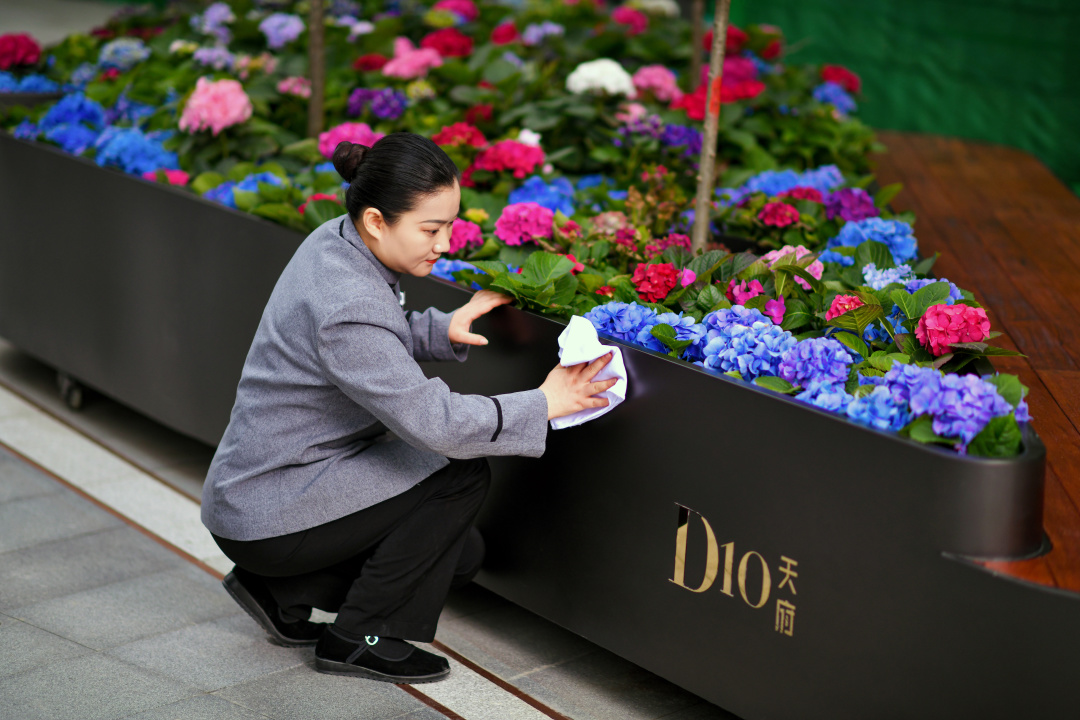 成都d10天府悦风,成都天府d10还房