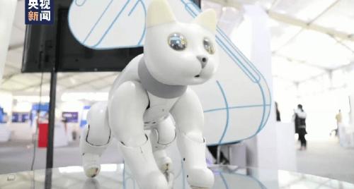 学生*党**的第一只机器猫，可以用来学代码