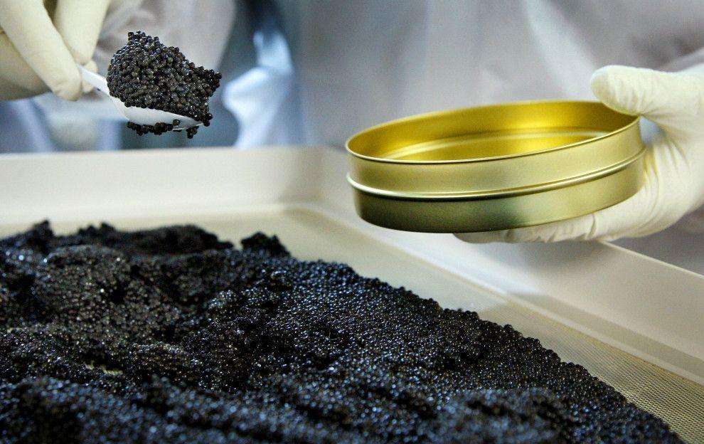 日本葡萄价格多少一斤,日本葡萄八块钱一个