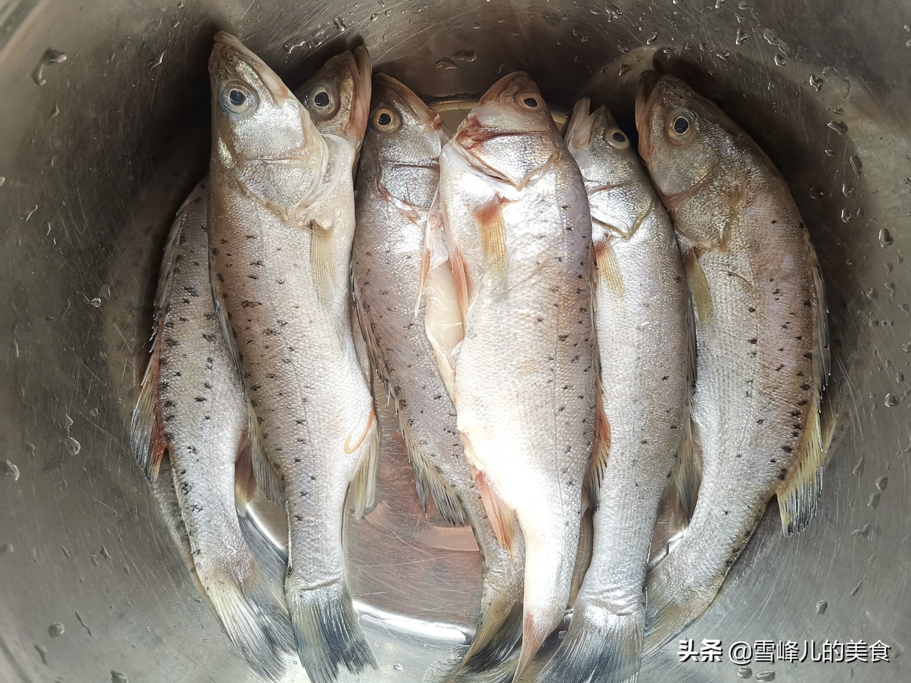 这个季节煮什么给孩子吃有营养,春天给孩子吃这个菜又营养又长个