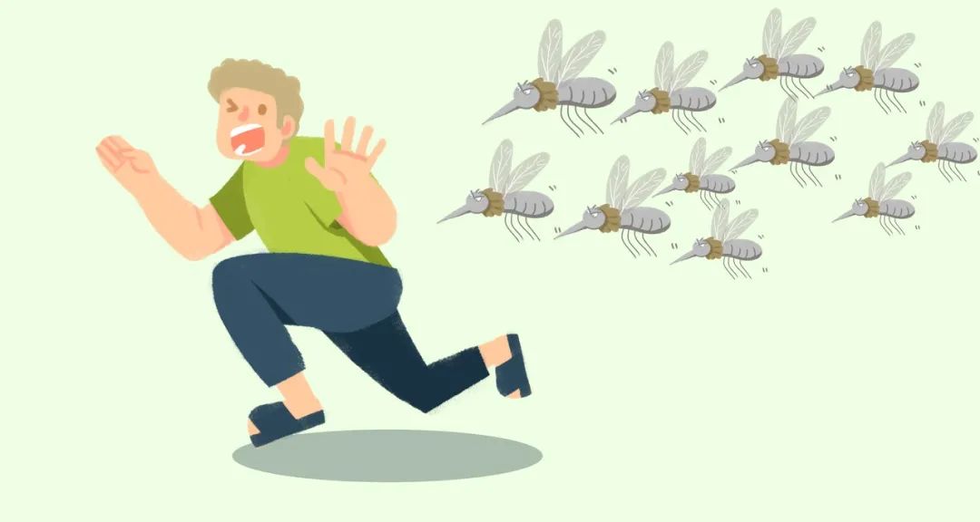 蚊子为什么能彻底消灭,怎么杀蚊子最快最有效的方法