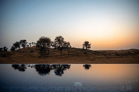 阿联酋丽思卡尔顿,阿联酋野奢帐篷