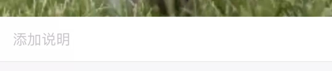 iphone相册的使用技巧,iphone相册隐藏怎么调出来