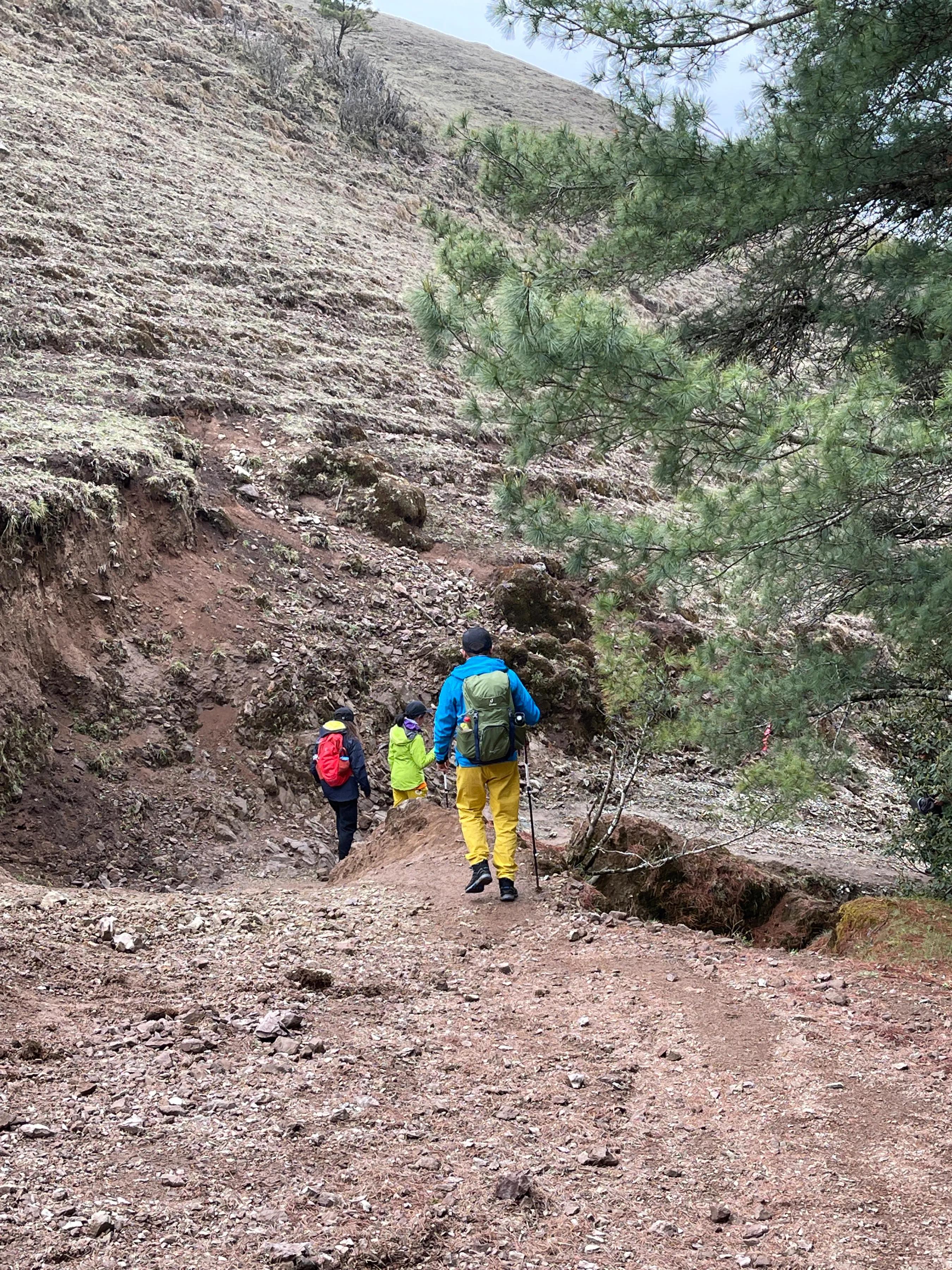 赶赴百草岭迎接夏天