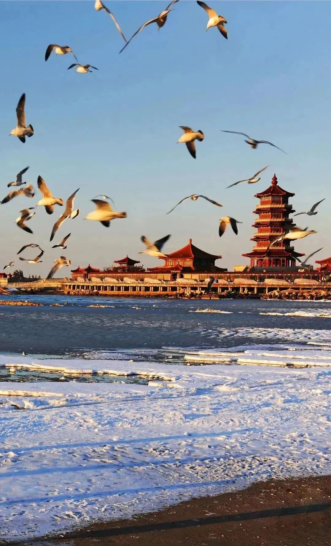 冬天100张绝美雪壁纸,好看的雪壁纸图片全屏高级感