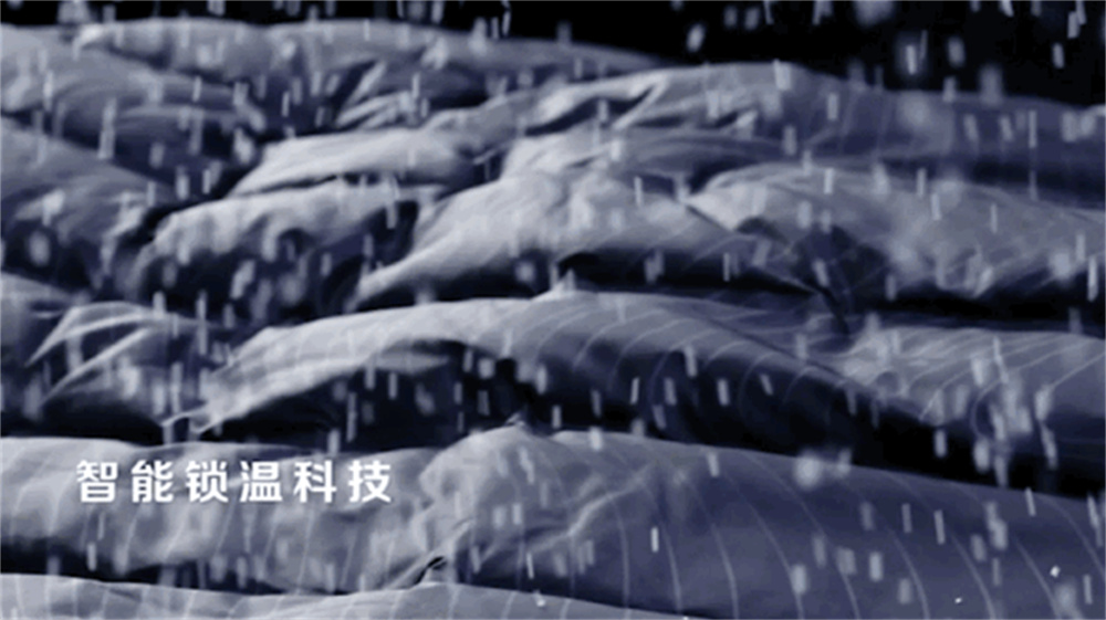 波司登玛莎拉蒂联名和普通版区别,玛莎拉蒂联名波司登