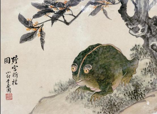 云南独龙江大量金蟾集结，网友：此乃祥瑞之兆，见金蟾就发大财！