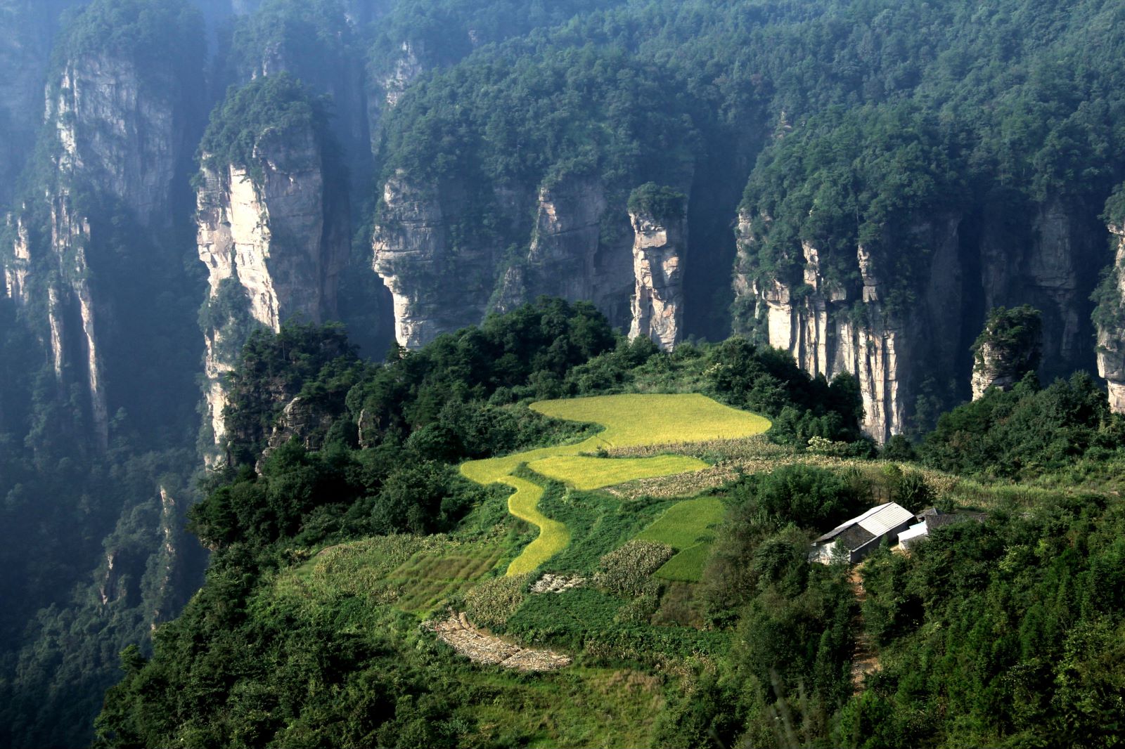 去张家界玩的攻略大全,湖南张家界旅游攻略4天3晚价格