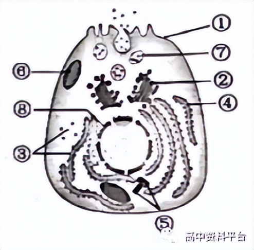 2024河南强基联盟3月联考高二,2024九省联考河南生物试卷及答案
