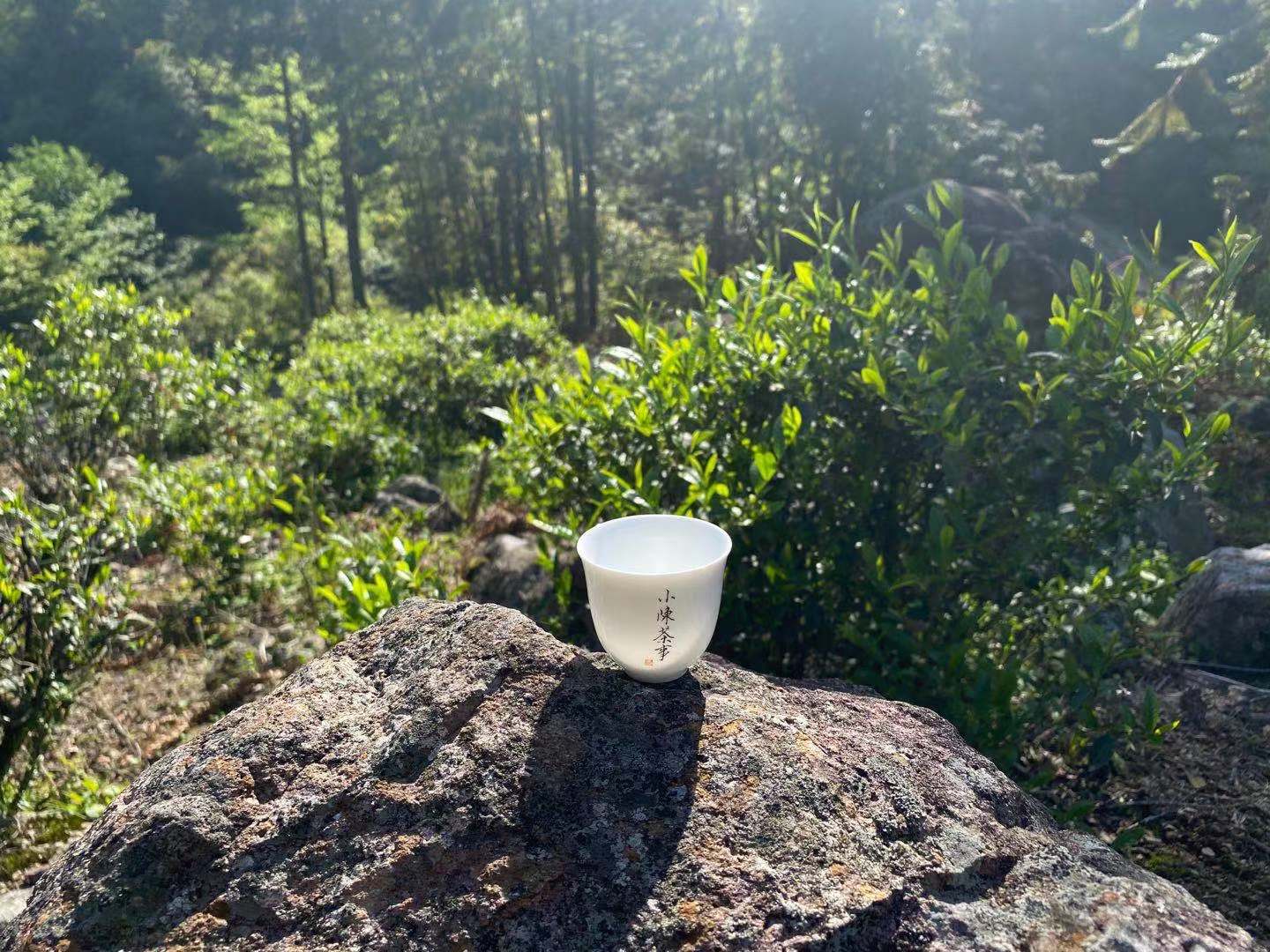 金骏眉红茶汤色,金骏眉红茶的颜色