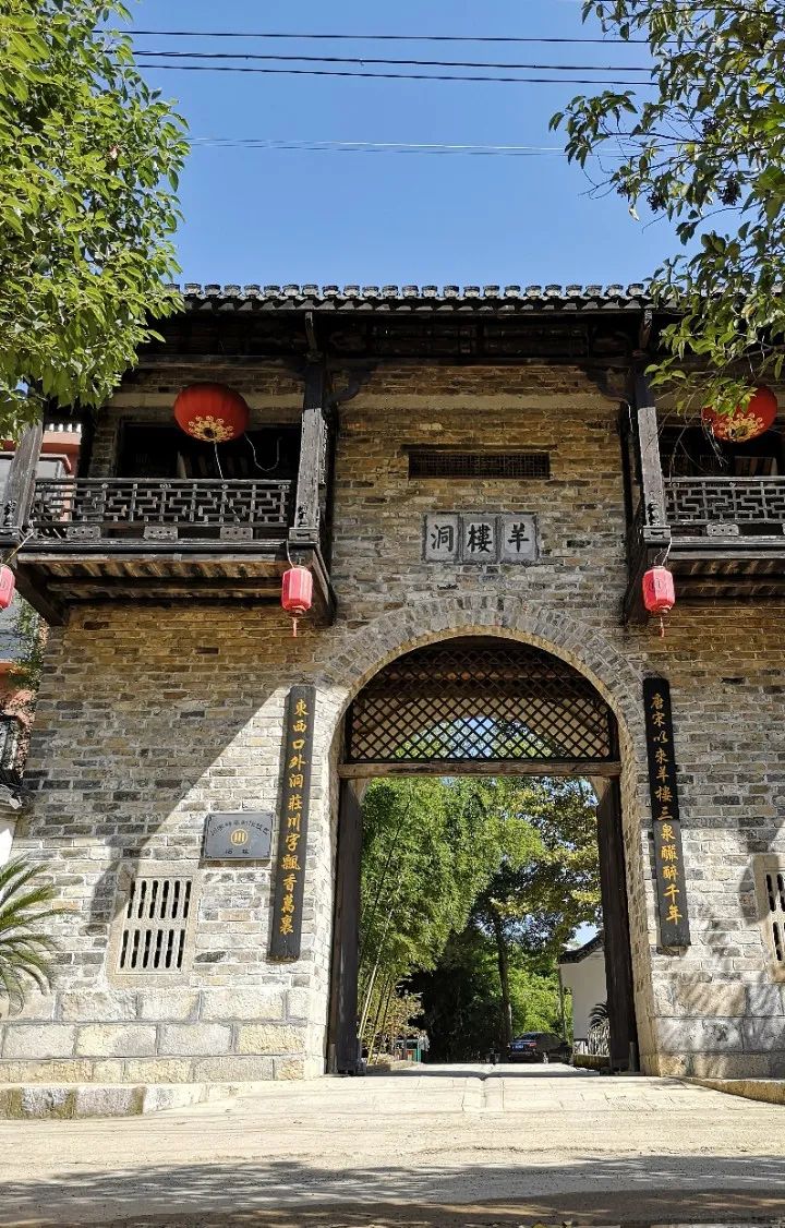 最好的湖北茶,值得收藏的绿茶口粮茶