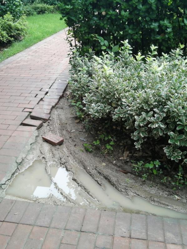 又一个“逆生长”小区！世茂服务在苏州助力业主生活幸福升级