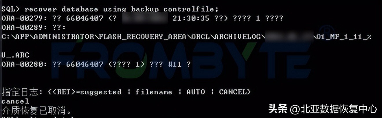 oracle数据库灾难恢复,oracle数据库文件丢失数据恢复