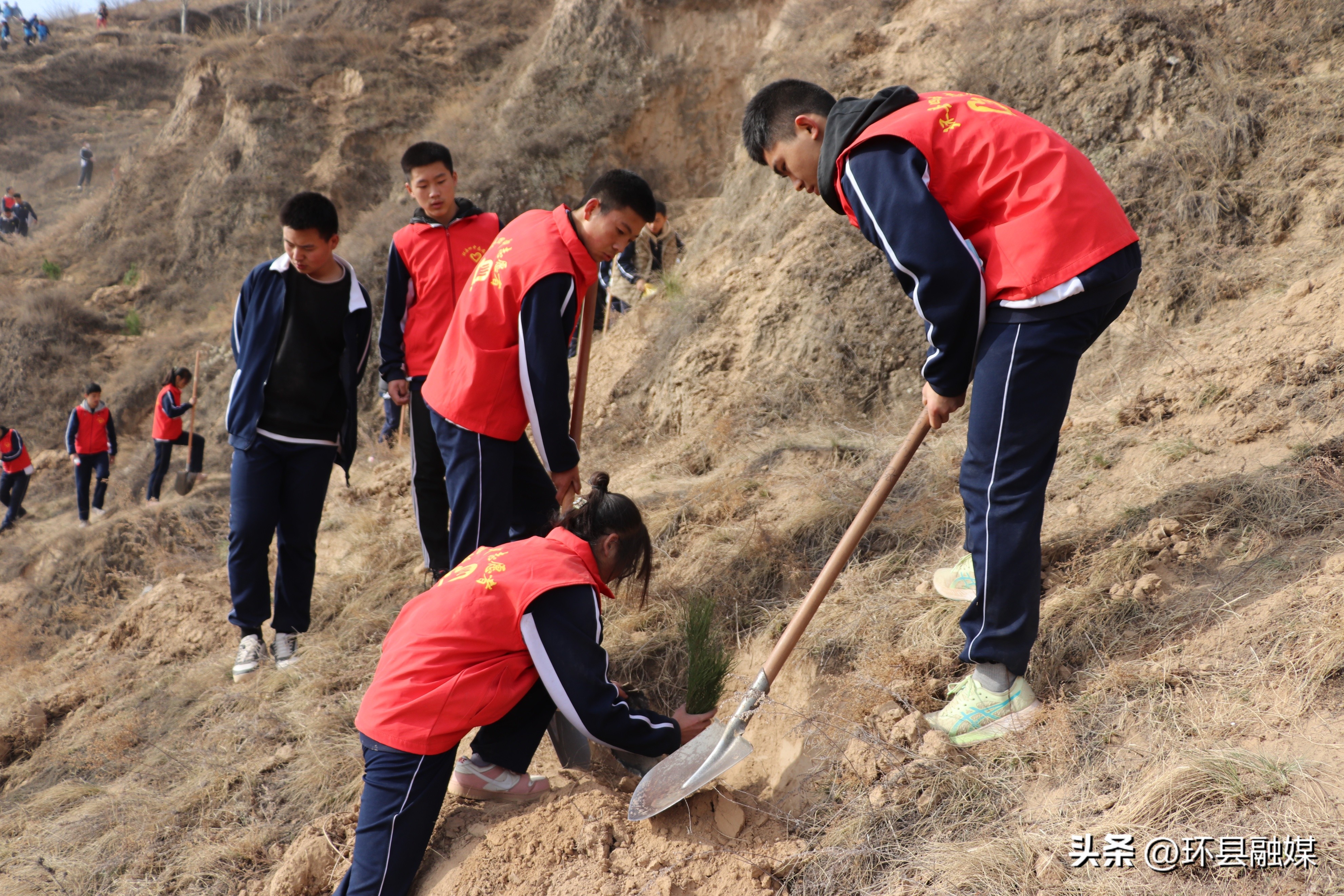 新县组织开展全民义务植树活动,积极开展植树增绿活动