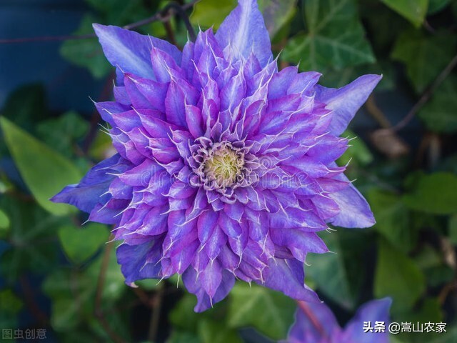 岁月无痕时光静好的散文,原创散文岁月极美