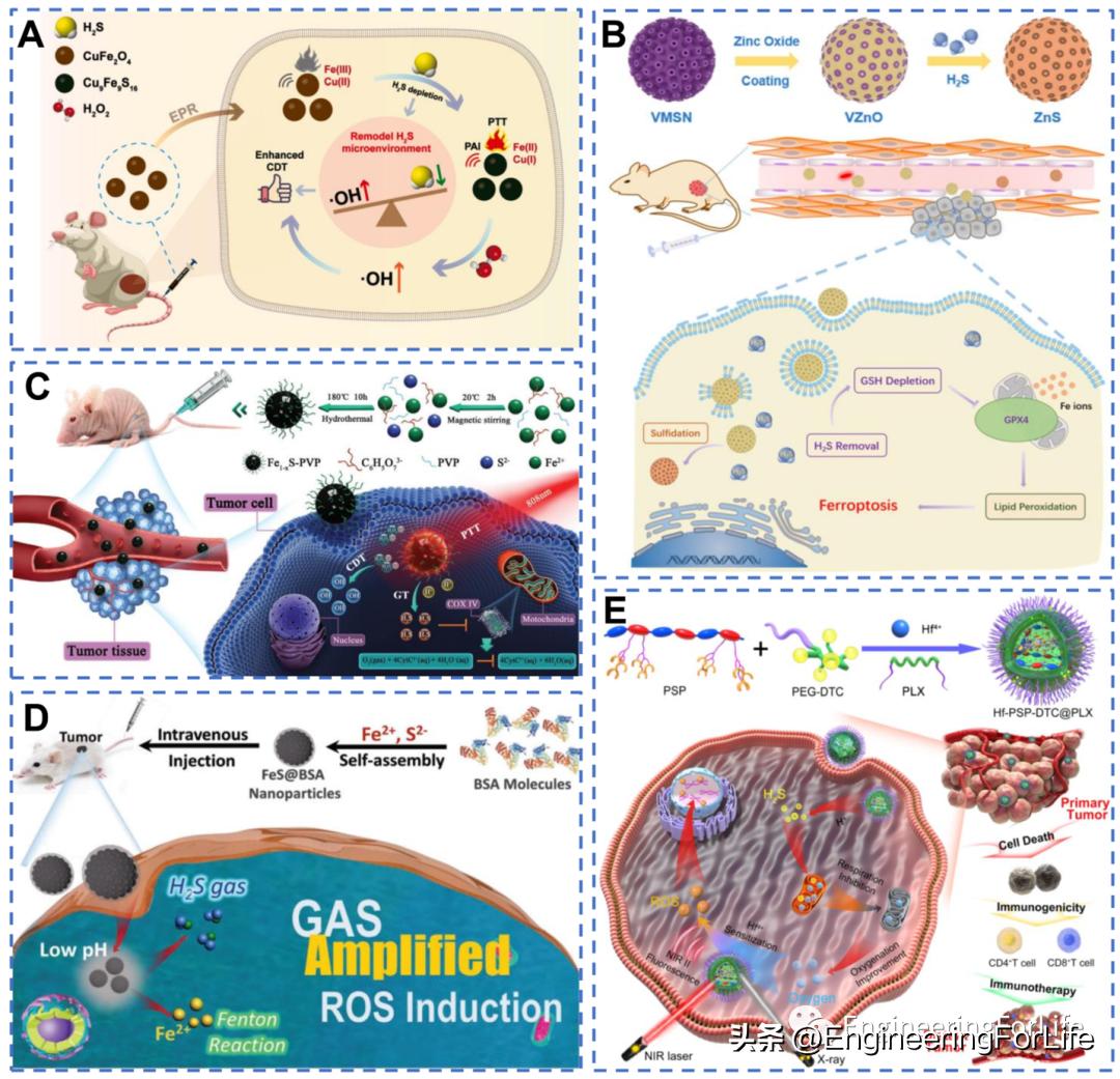 纳米材料抗肿瘤药物怎么用,新型纳米材料治疗肿瘤