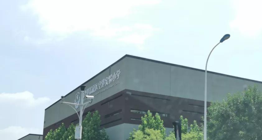 宅地、新盘均遭抢！空港这地界，必须得把把脉了