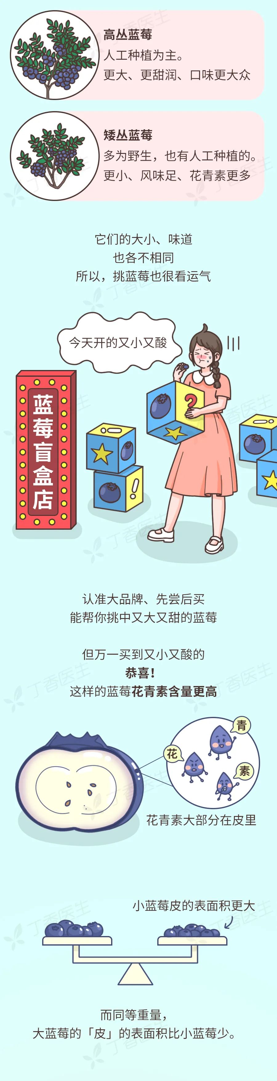 经常吃蓝莓干好处,常吃蓝莓的人身体会发生什么变化