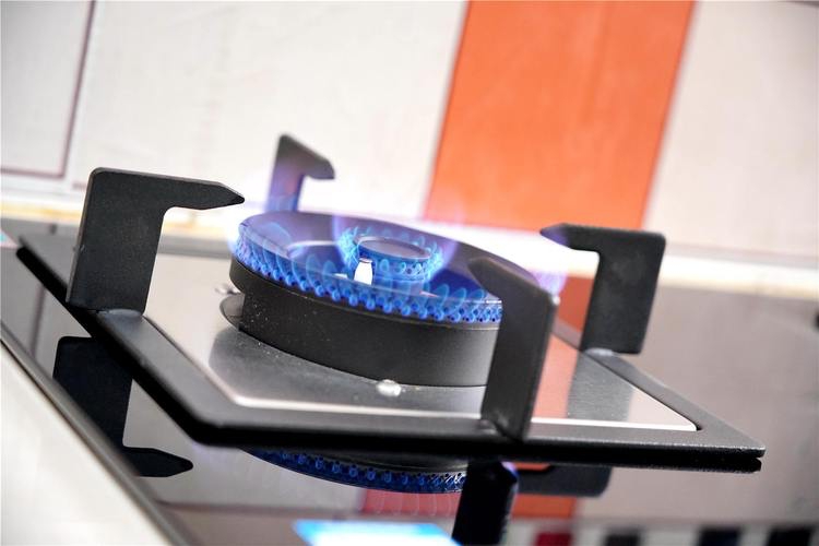 闺蜜来我家串门说说,闺蜜来我家烧菜成品