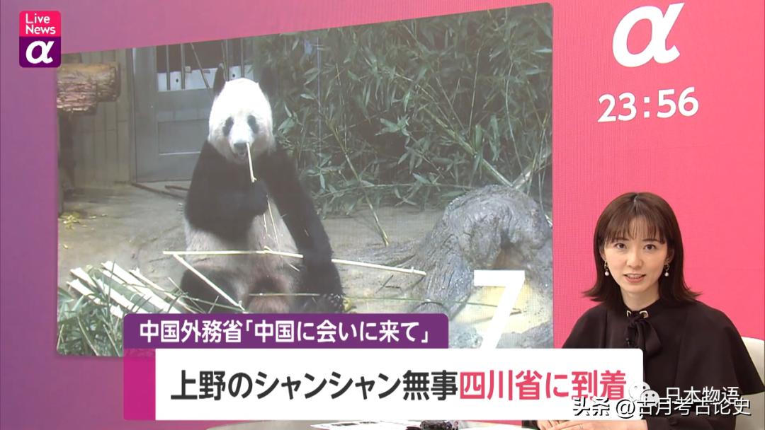 旅日大熊猫回国日本人反应,四只旅日大熊猫陆续归国