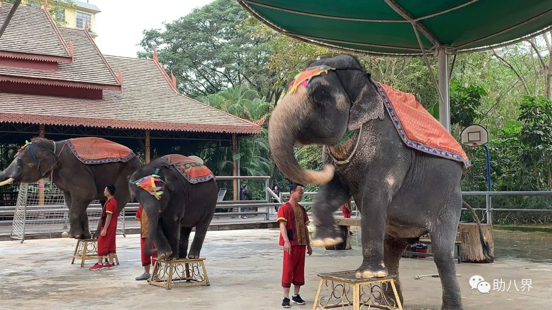 西双版纳的地标,西双版纳6国地标打卡