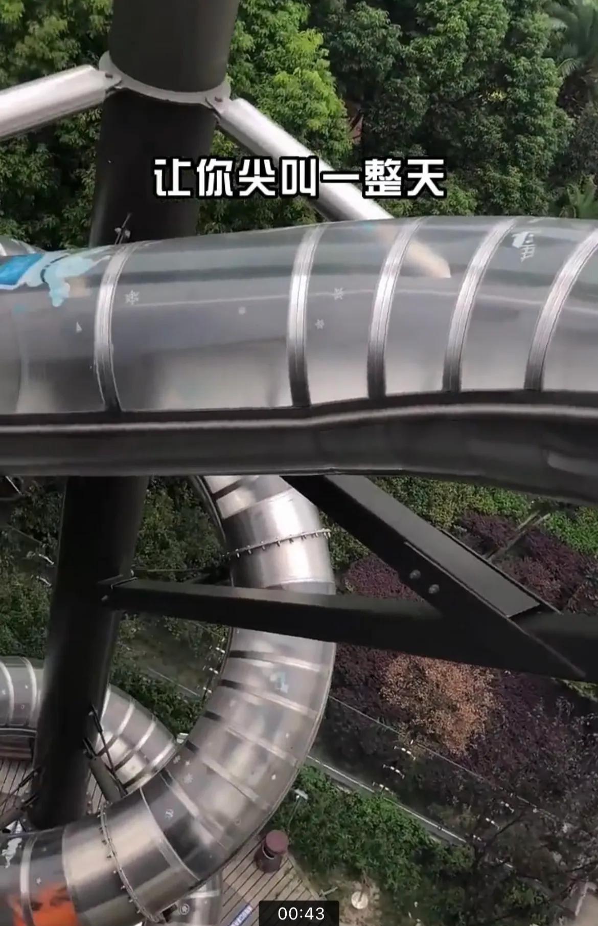 带孩子上海值得玩的景点,上海奉贤旅游景点推荐