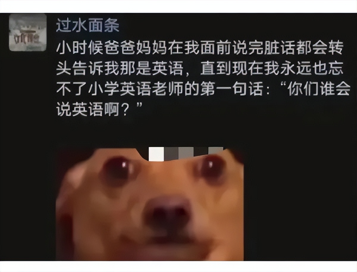 网课承受了太多社死|冷段子2365去年今日2008