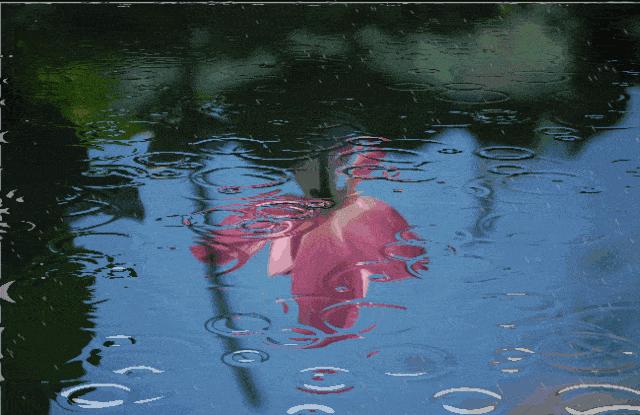 疠疫千家净炎蒸一夕空,那些描写夏天雨的诗词,凉爽了整个夏天