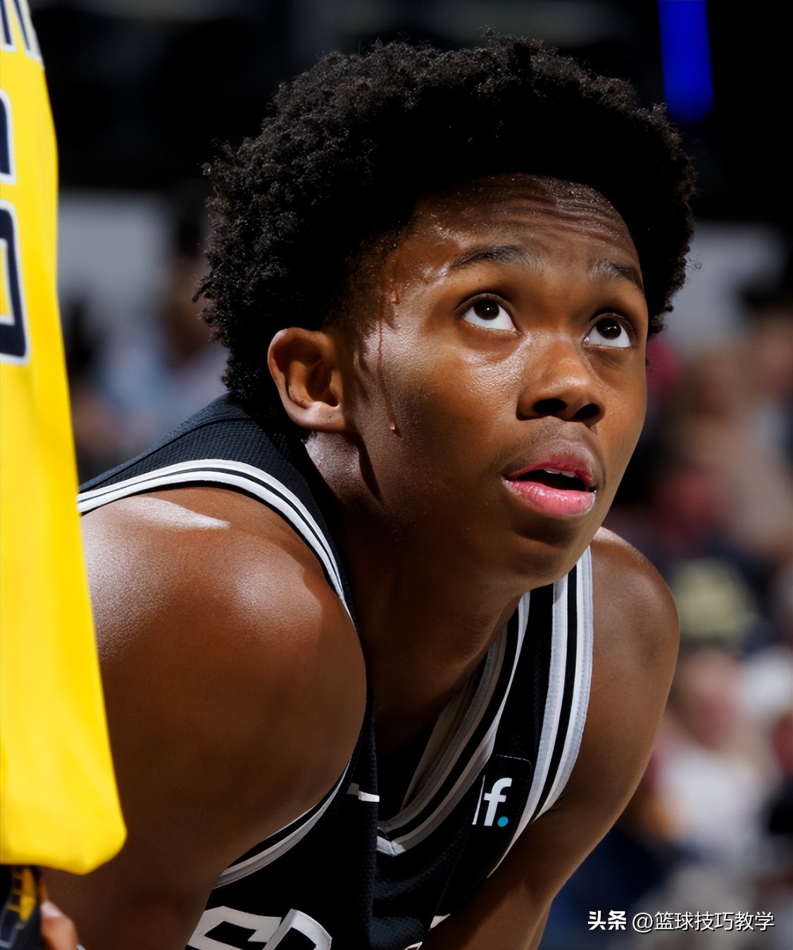 马刺球员普里莫,马刺队后卫普里莫