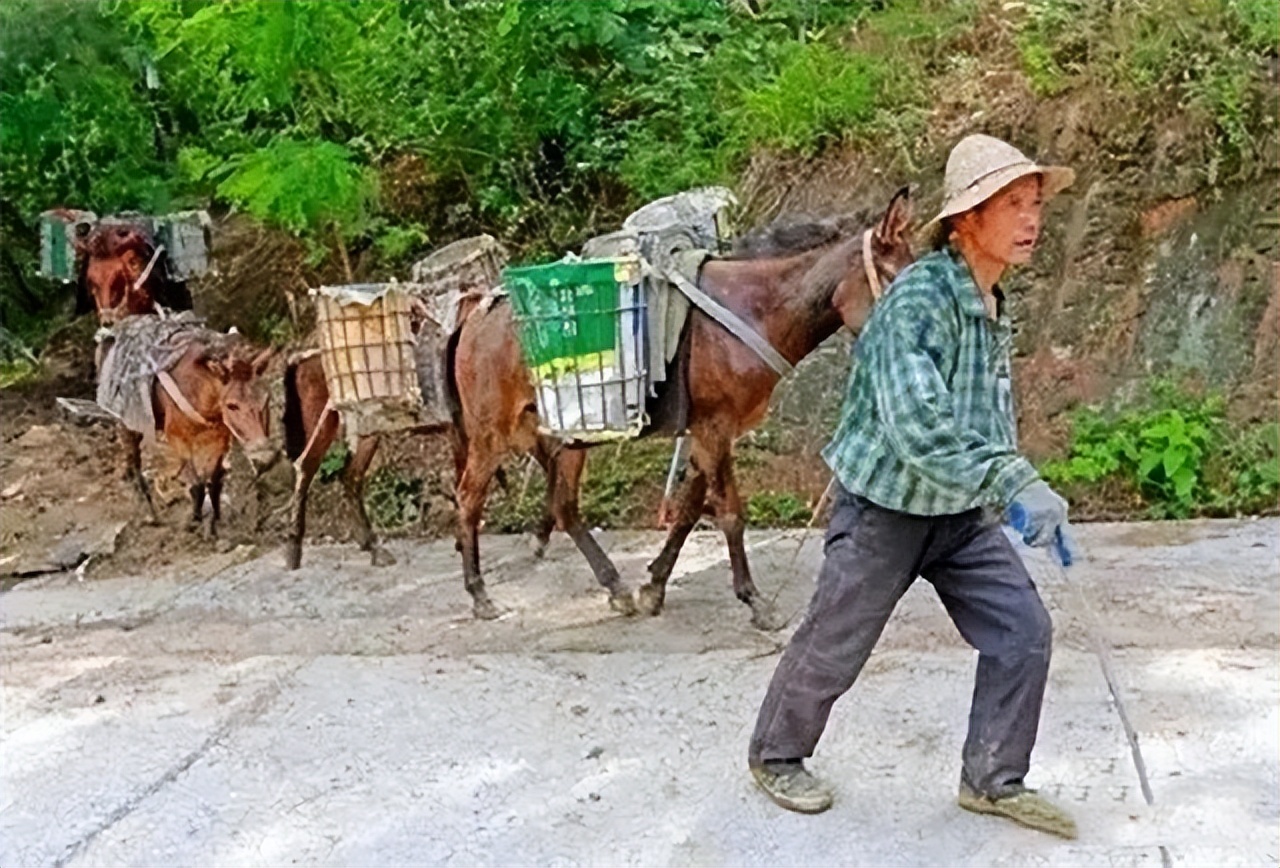 山里马帮的真实生活,农村夫妻货车生活真实记录