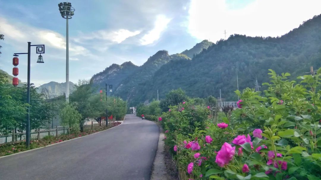 陕西省2023年美丽乡村示范村,陕西省美丽乡村示范村