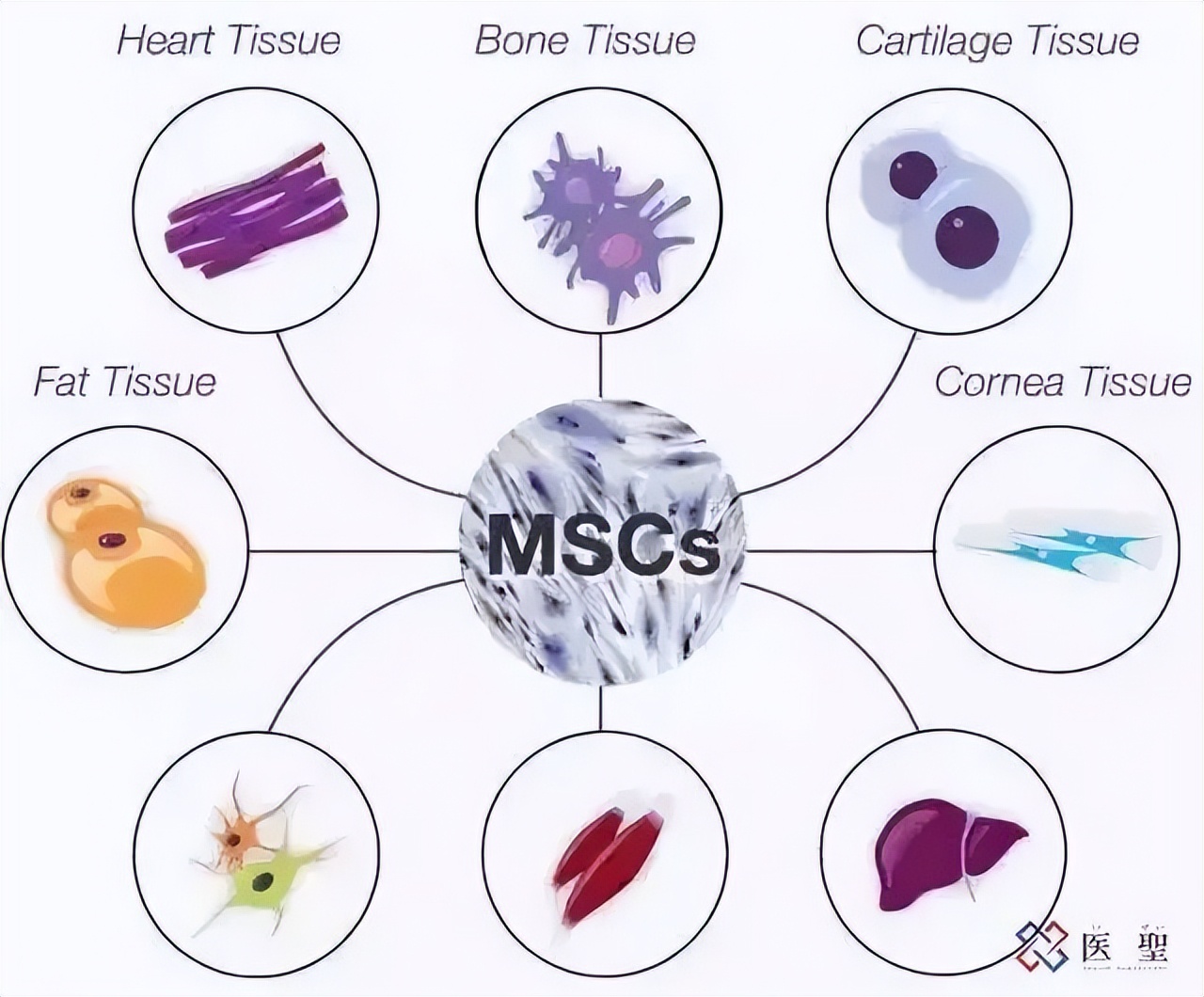 干细胞治疗阿尔茨海默病,日本干细胞疗法治疗脑血管病