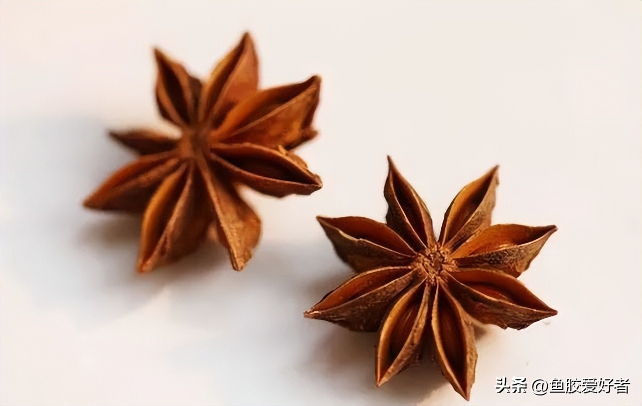 鱼胶长虫了,鱼胶长霉了怎么办