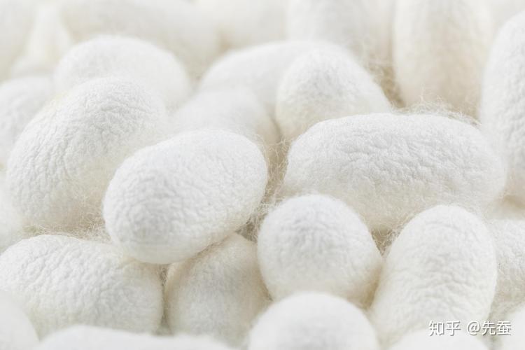 纯天然植物纤维面料包括哪些,优质纤维面料是什么