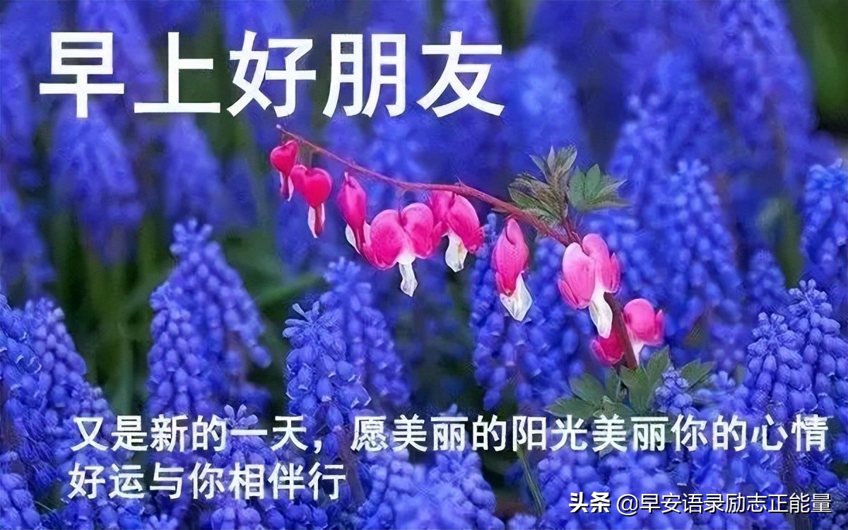 励志早安语录正能量发朋友圈图片,早安励志心语早安正能量句子图片