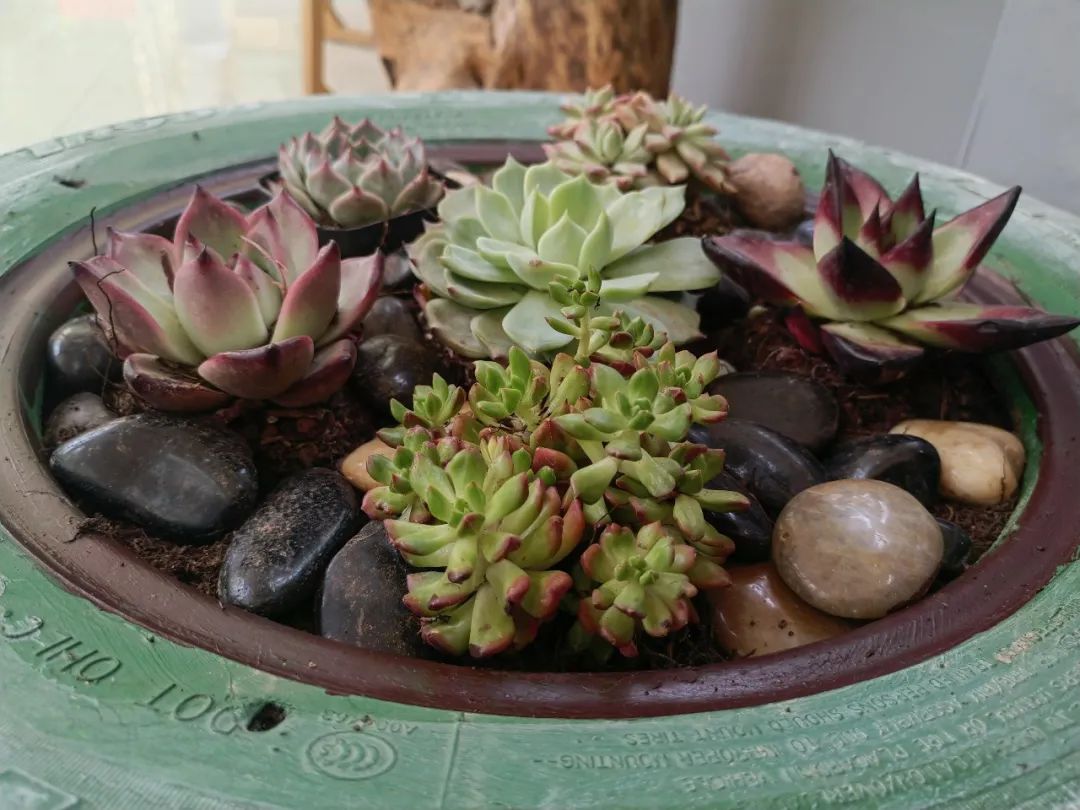 倾听儿童相伴成长主题墙幼儿园,倾听儿童相伴成长幼儿园小班视频