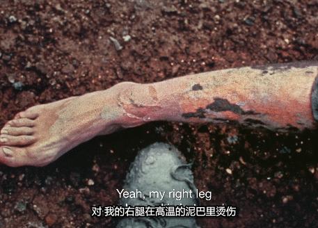 盘点内娱cp18年,内娱哪对cp可能是真的