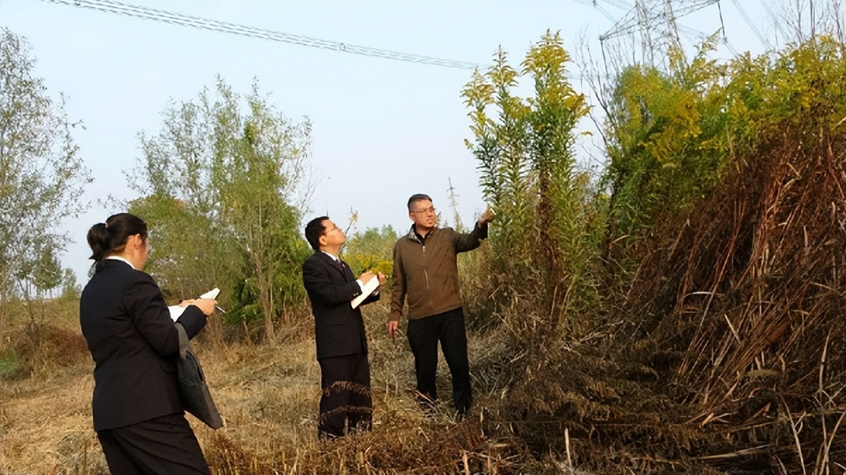 促推公益诉讼检察监督精准规范,公益诉讼检察机关履职亮点