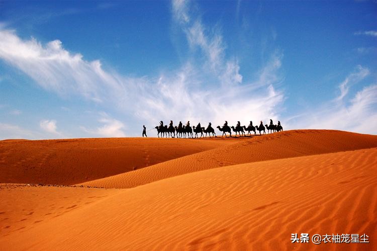 中卫旅游十大惊喜清单,治沙三大奇迹