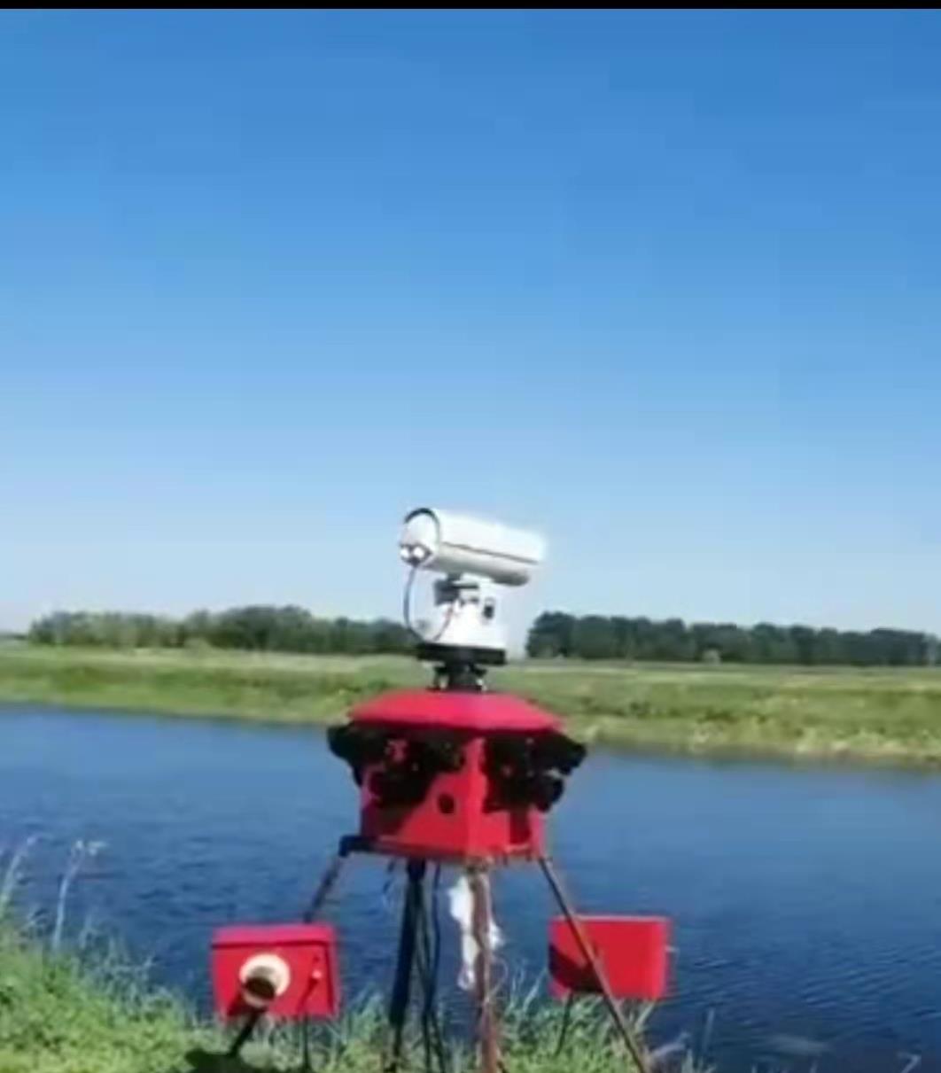 鱼塘几千斤鱼神秘消失,鱼塘数千条鱼神秘消失